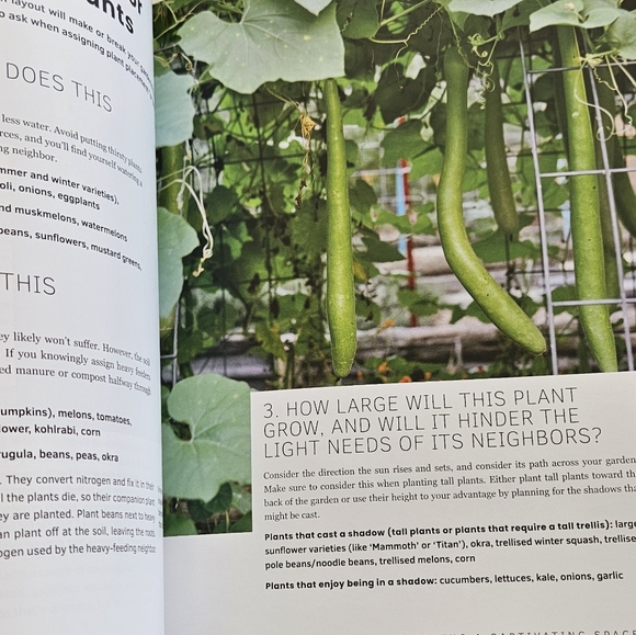 NWOT The first time gardener Growing Vegetables Jessica Sowards - Picture 7 of 11